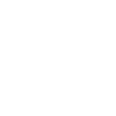 Visual Icon