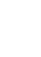 Visual Icon