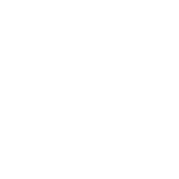 SEO Icon
